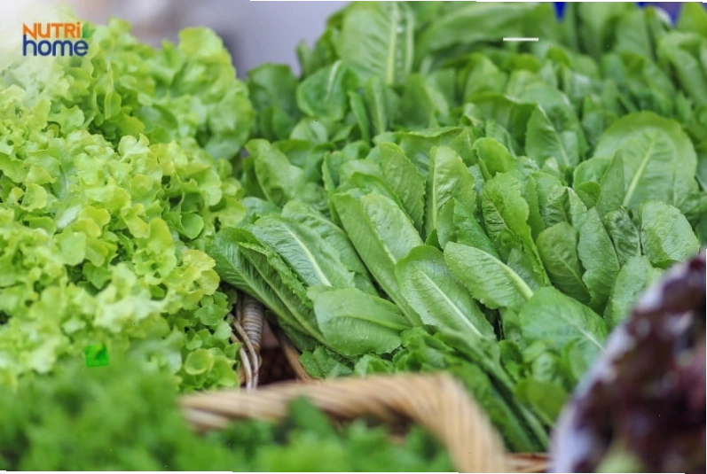 Thực phẩm tốt cho phụ nữ muốn tăng khả năng thụ thai