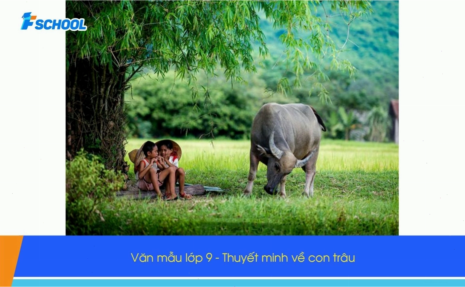 Thuyết minh về con trâu Việt Nam