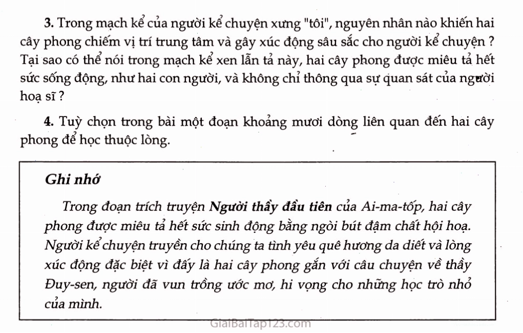Tổng thể hai cây phong và khung cảnh xung quanh