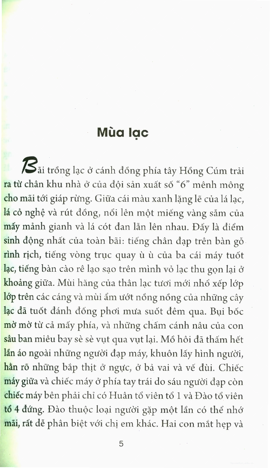 Trang bìa minh họa mùa lạc nguyễn khải