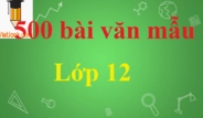 Tuyển tập kết bài nghị luận xã hội hay và ấn tượng nhất 2026