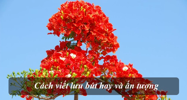 Tuyển tập văn mẫu lưu bút hay và ý nghĩa cho mọi dịp