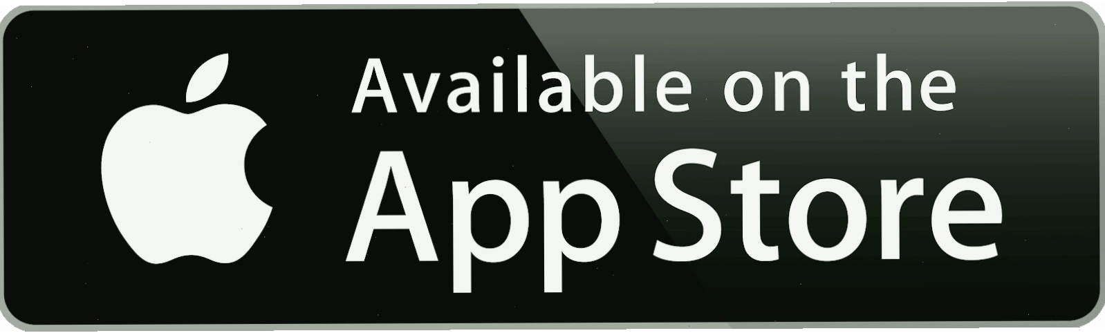Ứng dụng Loigiaihay trên Apple Store