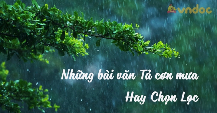 Văn mẫu tả cơn mưa lớp 5: Những bài văn hay và sáng tạo