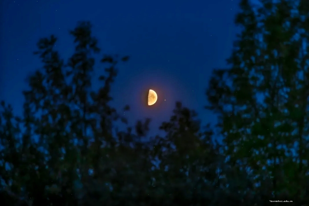 Clear night sky in India during the low humidity season