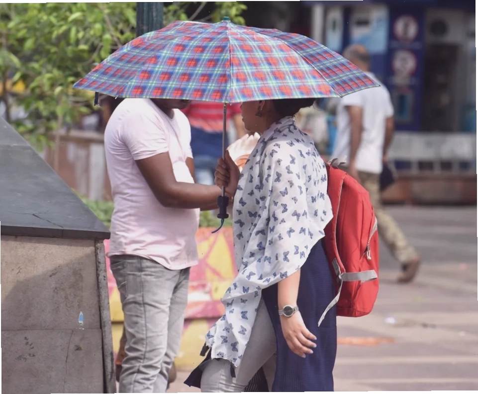 People using umbrellas during the humid monsoon season in India