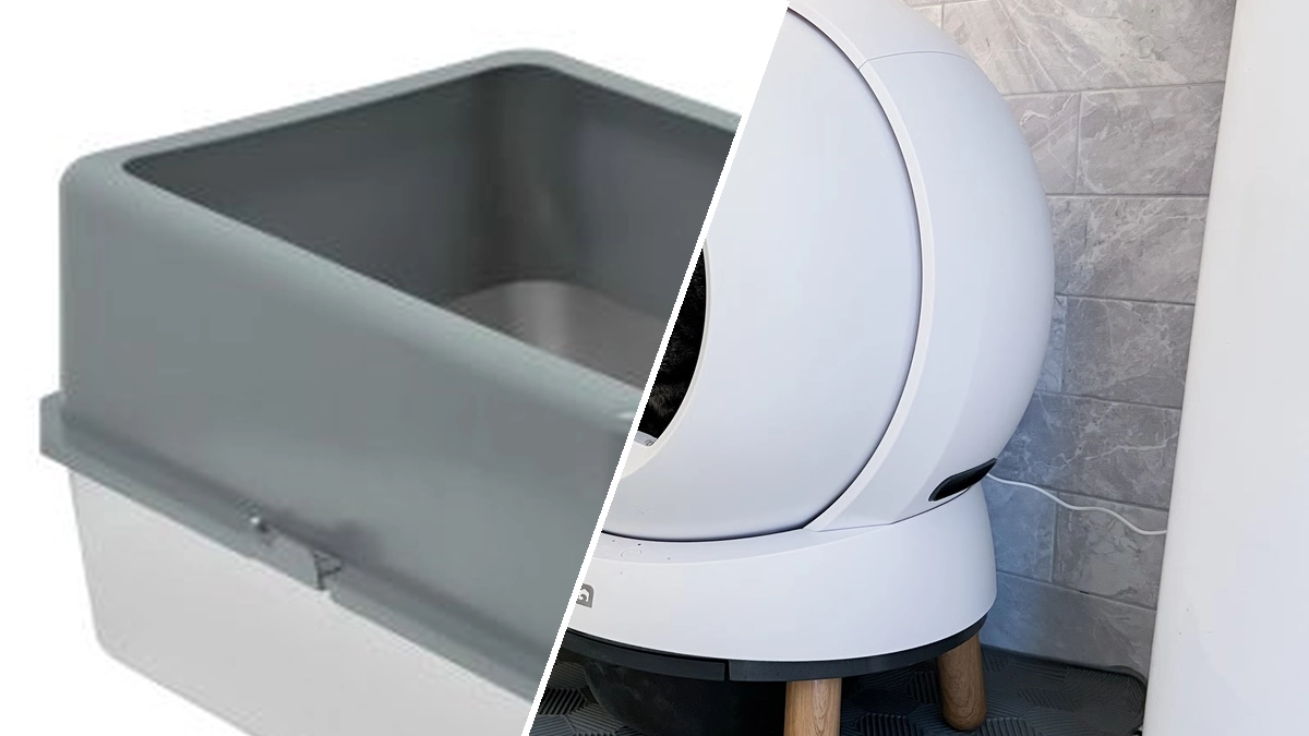Best eco-friendly cat litter box alternatives for sustainable care