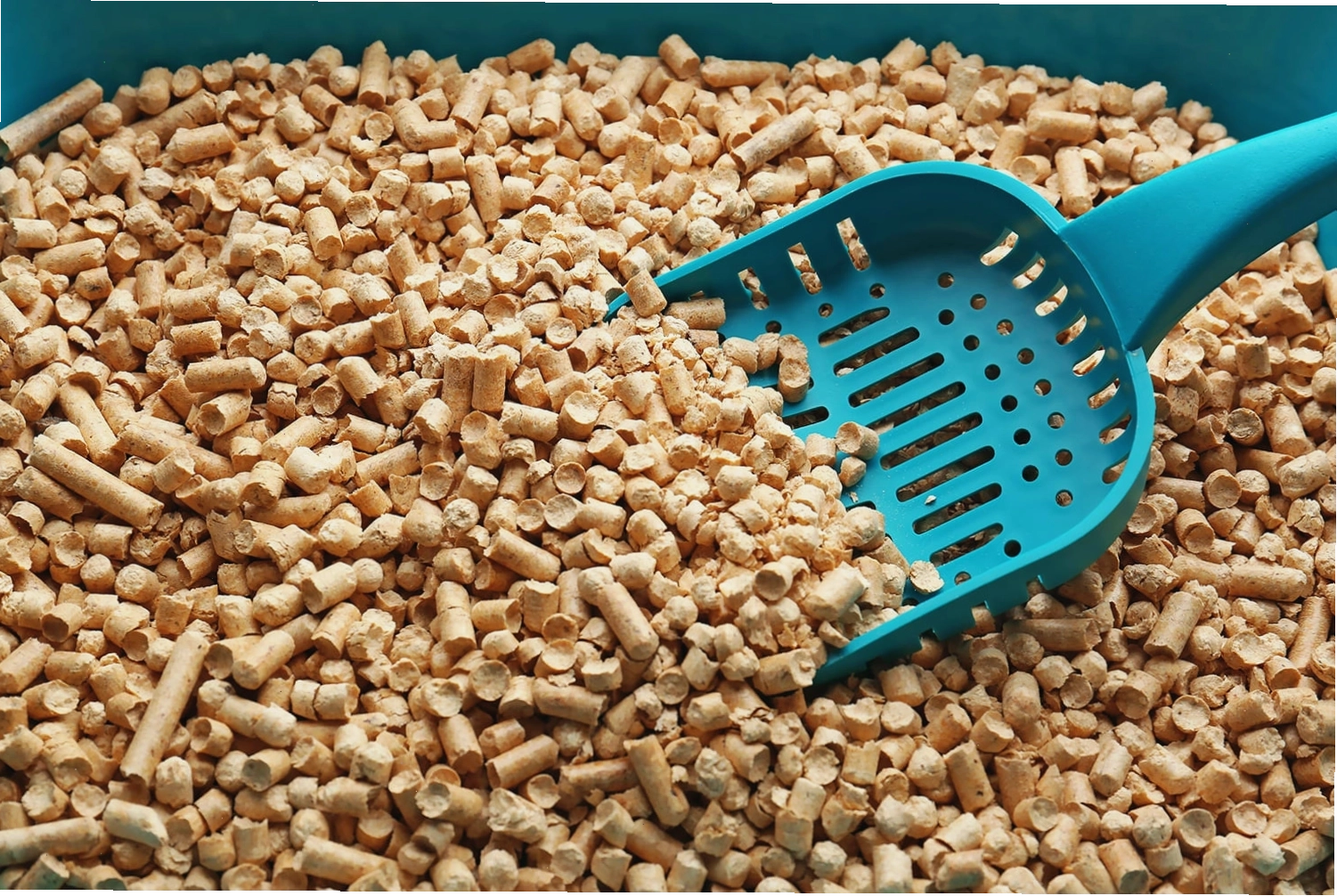 Eco Friendly Pellets as Kitty Litter in a wooden box