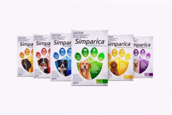 Viên nhai Simparica hỗ trợ điều trị triệu chứng chó bị ve rận nặng