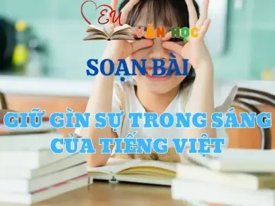 Soạn bài Giữ gìn sự trong sáng của tiếng Việt - Ngữ Văn 12