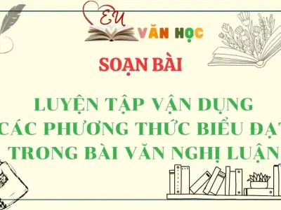 Soạn bài Luyện tập vận dụng các phương thức biểu đạt trong bài văn nghị luận - Ngữ Văn Lớp 12