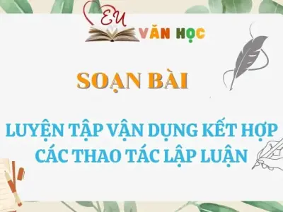 Soạn bài Luyện tập vận dụng kết hợp các thao tác lập luận - Ngữ Văn lớp 12