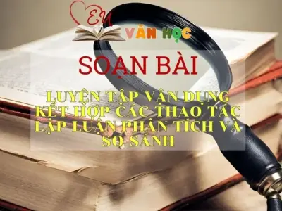 Soạn bài Luyện tập vận dụng kết hợp các thao tác lập luận phân tích và so sánh - Ngữ Văn Lớp 11