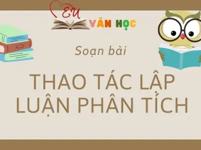 Soạn bài Thao tác lập luận phân tích - Ngữ Văn Lớp 11