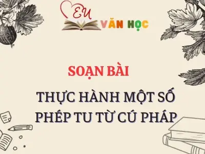 Thực hành một số phép tu từ cú pháp - Ngữ Văn Lớp 12