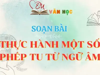 Soạn bài Thực hành một số phép tu từ ngữ âm - Ngữ Văn lớp 12