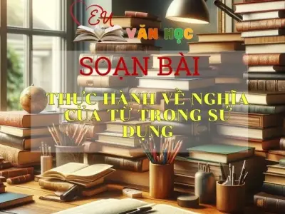  Soạn bài Thực hành về nghĩa của từ trong sử dụng - Văn 11