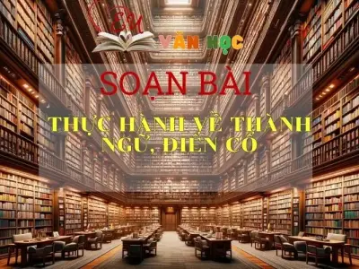 Soạn bài Thực hành về thành ngữ, điển cố - Ngữ Văn Lớp 11