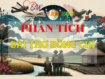 Tuyển chọn Top các mẫu Phân tích Đồng chí hay nhất 2024