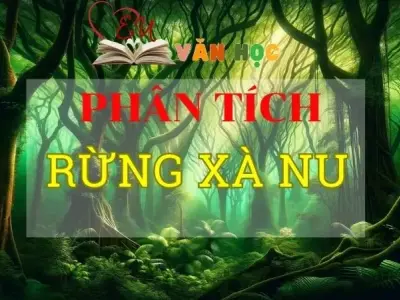 Phân tích Rừng xà nu tuyển tập chọn lọc các mẫu siêu hay 