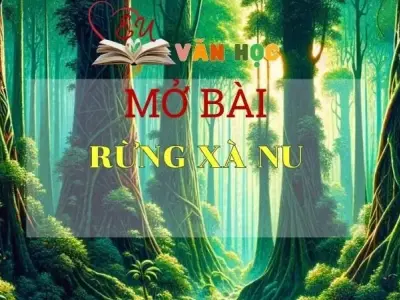 Top 10 mẫu mở bài Rừng Xà Nu ghi điểm cao trong các kì thi