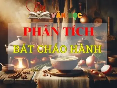 Phân tích Bát cháo hành tuyển chọn Top mẫu hay nhất 2024