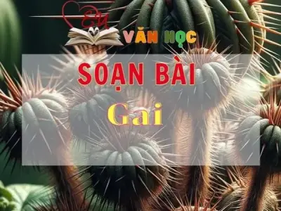 Soạn bài Gai - Sách Chân trời sáng tạo lớp 11