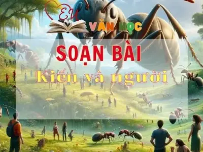 Soạn bài Kiến và người - Sách Chân trời sáng tạo lớp 11