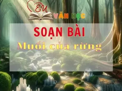 Soạn bài Muối của rừng - Sách Chân trời sáng tạo lớp 11