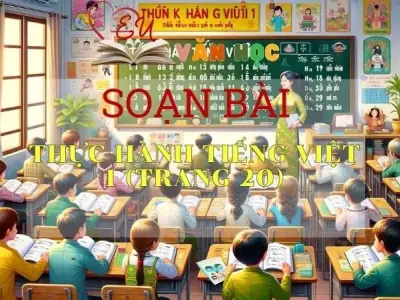 Soạn bài Thực hành Tiếng Việt 1 - Sách Chân trời sáng tạo trang 20  Ngữ Văn 11 (tập 1)