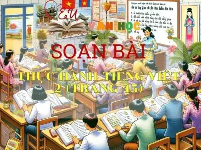 Soạn bài Thực hành Tiếng Việt 2 - Sách Chân trời sáng tạo trang 45 Ngữ Văn 11 tập 1