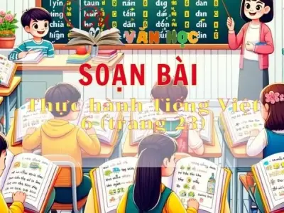 Soạn bài Thực hành Tiếng Việt 6 - Sách Chân trời sáng tạo trang 23 Ngữ Văn 11 tập 2