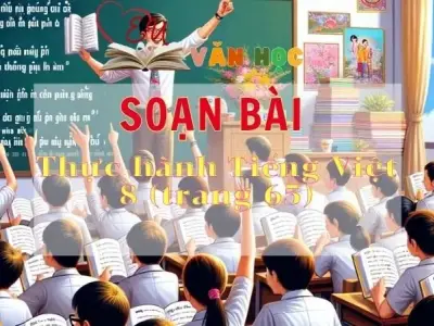 Soạn bài Thực hành Tiếng Việt 8 - Sách Chân trời sáng tạo trang 65 Ngữ Văn 11 tập 2
