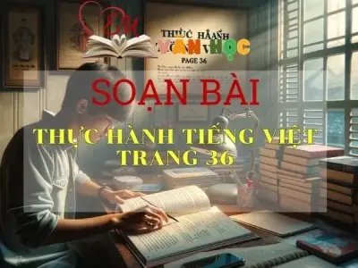 SOẠN VĂN BÀI THỰC HÀNH TIẾNG VIỆT TRANG 36 - SÁCH KẾT NỐI TRI THỨC LỚP 11 TẬP 1