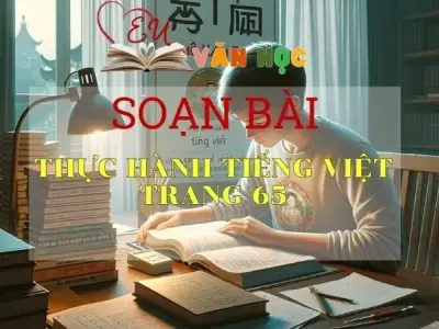 SOẠN VĂN BÀI THỰC HÀNH TIẾNG VIỆT TRANG 65 - SÁCH KẾT NỐI TRI THỨC LỚP 11 TẬP 1