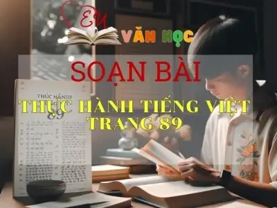 SOẠN VĂN BÀI THỰC HÀNH TIẾNG VIỆT TRANG 89 - SÁCH KẾT NỐI TRI THỨC LỚP 11 TẬP 1