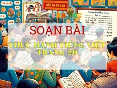 SOẠN VĂN BÀI THỰC HÀNH TIẾNG VIỆT TRANG 20 - SÁCH KẾT NỐI TRI THỨC LỚP 11 TẬP 2