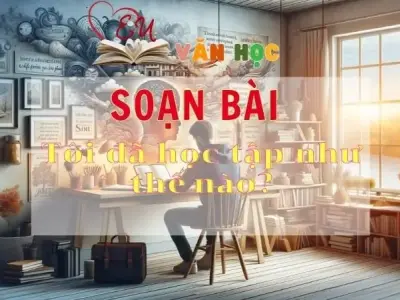 Soạn bài Tôi đã học tập như thế nào? - Sách Chân trời sáng tạo lớp 11