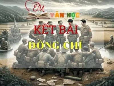 Tuyển tập kết bài Đồng chí đỉnh nhất 2024