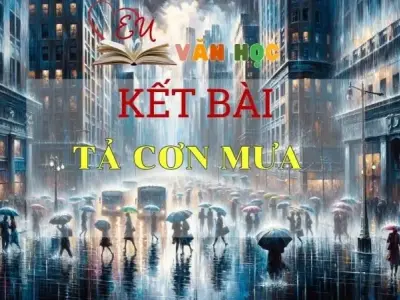 Tuyển chọn các kết bài Tả cơn mưa hay nhất năm 2024
