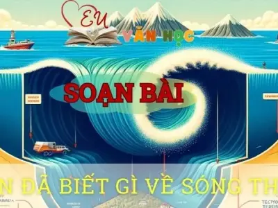 Soạn bài Bạn biết gì về sóng thần - ngữ văn 8 tập 1- sách Chân trời sáng tạo