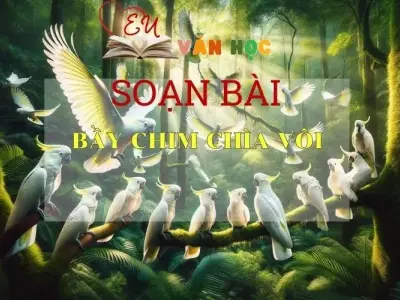 Bầy chim chìa vôi- Kết nối tri thức - Ngữ văn lớp 7