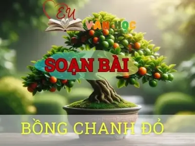 Soạn bài Bồng chanh đỏ - ngữ văn 8 tập 2 - sách Chân trời sáng tạo