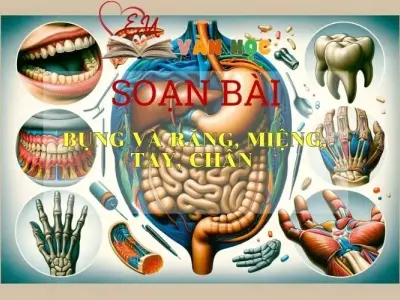 Soạn bài Bụng và Răng Miệng, Tay, Chân - ngữ văn 7 tập 2 - sách Cánh Diều
