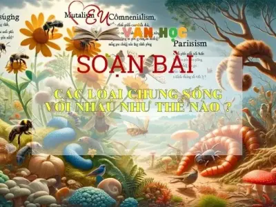 Soạn bài Các loài chung sống với nhau như thế nào -Ngữ văn 6  Kết nối tri thức