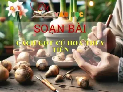 Soạn bài Cách gọt củ hoa thủy tiên - Sách Chân trời sáng tạo lớp 7