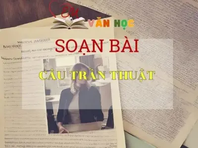 Soạn bài Câu trần thuật SGK Ngữ văn 8