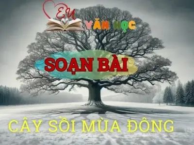 Soạn bài Cây sồi mùa đông - ngữ văn 8 tập 2 - sách Chân trời sáng tạo