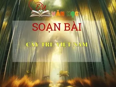 Soạn bài Cây tre Việt Nam - Ngữ văn 6 Kết nối tri thức