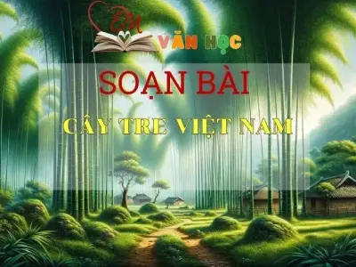 Soạn bài Cây tre Việt Nam- ngữ văn 7 tập 2- sách Cánh Diều
